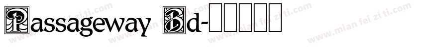 Passageway Bd字体转换